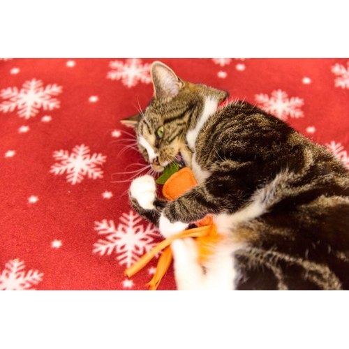 Petface Felt carrot Teaser Cat Toy