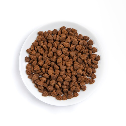 Thrive PremiumPlus Chicken with Turkey Dry Cat Food