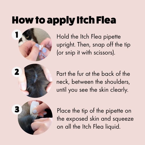 Itch Flea Cat Spot-On Flea & Tick treatment (1kg+)