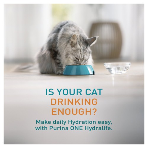 PURINA ONE HYDRALIFE with Chicken Liquid Cat Supplement