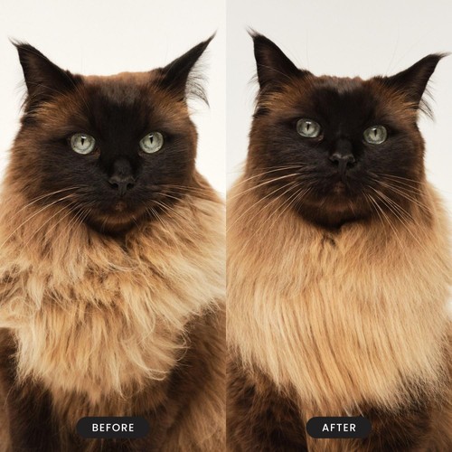 Pet Teezer Cat Brush Pink