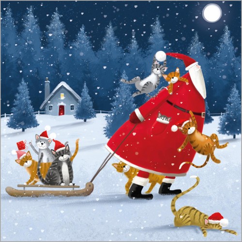 Santa & Animals Bumper Box Christmas Card Pack