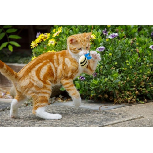 Petface Catkins Catnip Bee Teaser Cat Toy