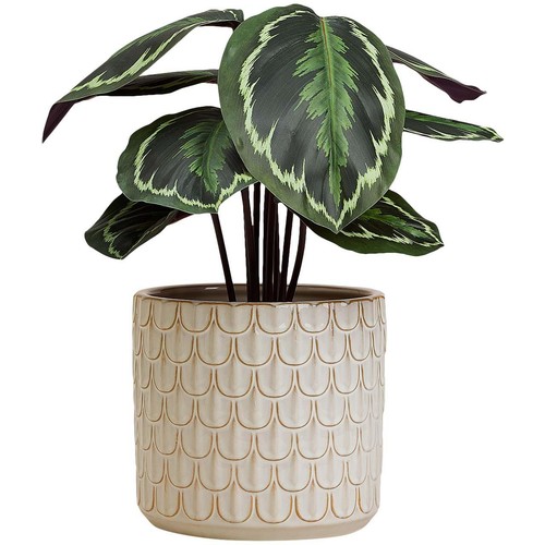 M&S Medium Scalloped Textured Planter, White