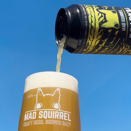 Mad Squirrel Roadkill New England IPA