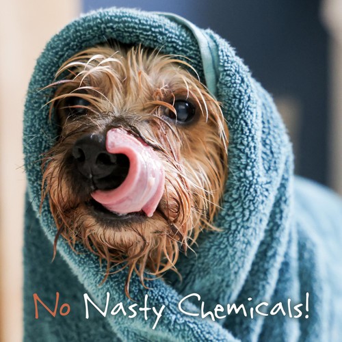Little Beast Organic Scruffy Dog Shampoo Bar