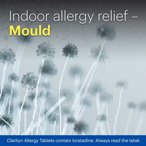 Clarityn Allergy Tablets