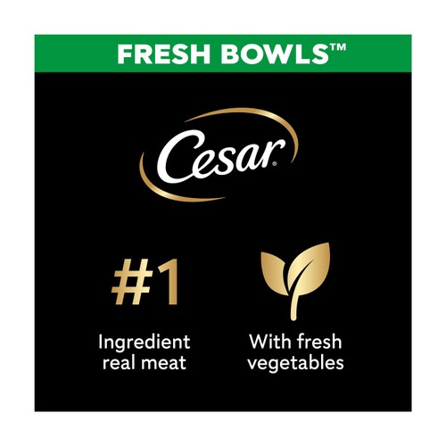 Cesar Fresh Bowl Adult Wet Dog Food Chicken & Poultry in Gravy