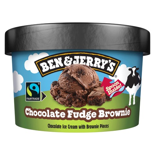 Ben & Jerry's Chocolate Fudge Brownie Mini Ice Cream Multipack 12 x 100ml