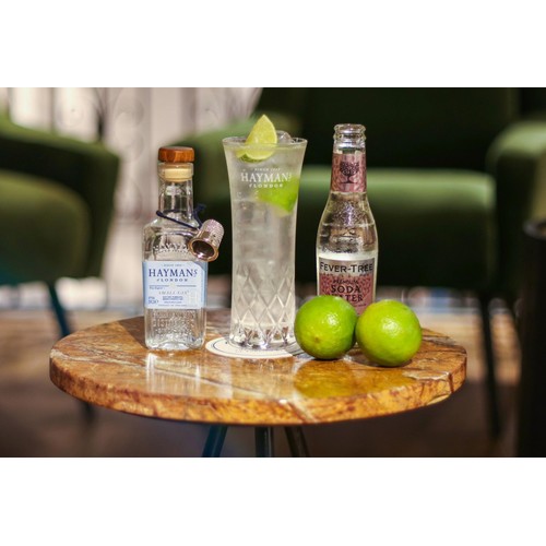 Haymans Small Gin
