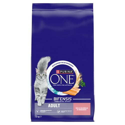 Purina One Salmon Dry Cat Food