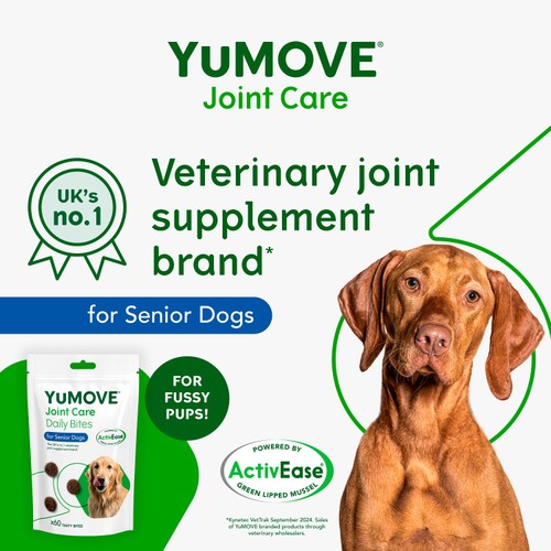 YuMOVE Joint Support Daily Bites for Senior Dogs