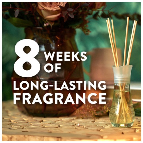 Airwick Berries & Peach Blossom Reed Diffuser