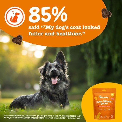 Zesty Paws Allergy & Immunity Chews Rich in Salmon Dog Treats