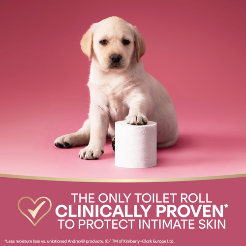 Andrex Skin Protect Toilet Roll