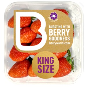 Berryworld King Strawberries