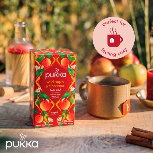 Pukka Wild Apple & Cinnamon with Ginger Teabags
