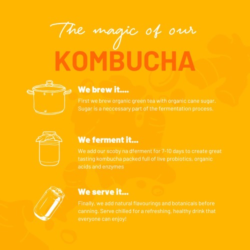 One Living Ginger Kombucha Multipack