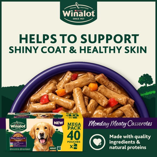 Winalot Monday Meaty Casseroles Chicken, Turkey, Duck in Gravy Wet Dog Food
