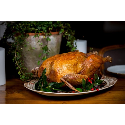 KellyBronze Medium Organic Turkey