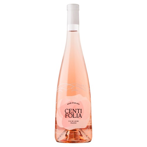 Centifolia Rose d'Anjou