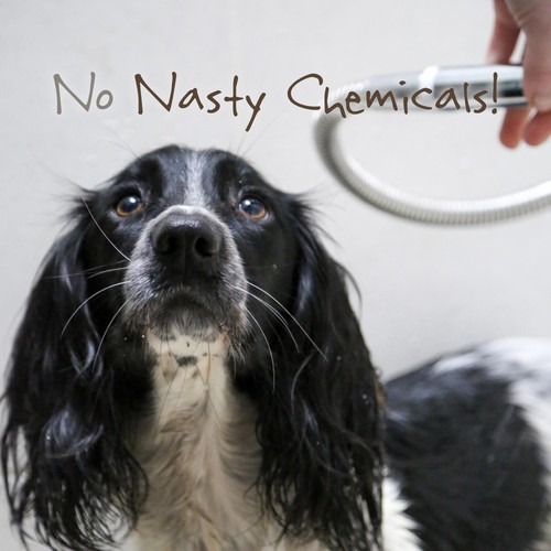 Little Beast Organic Sensitive Dog Shampoo Bar