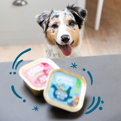 Edgard & Cooper Puppy Grain Free Wet Dog Food with Organic Chicken & Fish