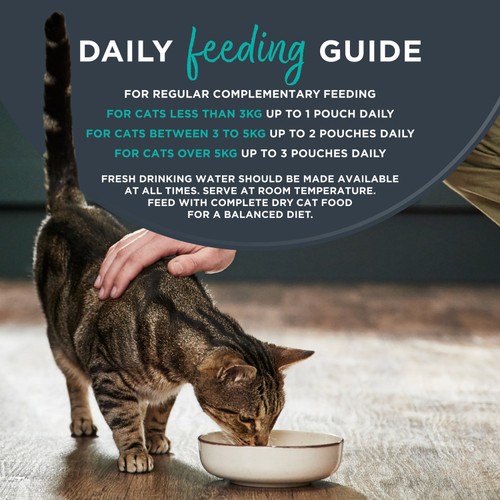 Encore Natural Wet Cat Food Pouch Tuna Fillet with Whitebait in Broth