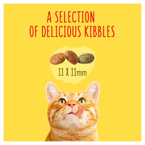 Go-Cat Indoor Chicken Dry Cat Food