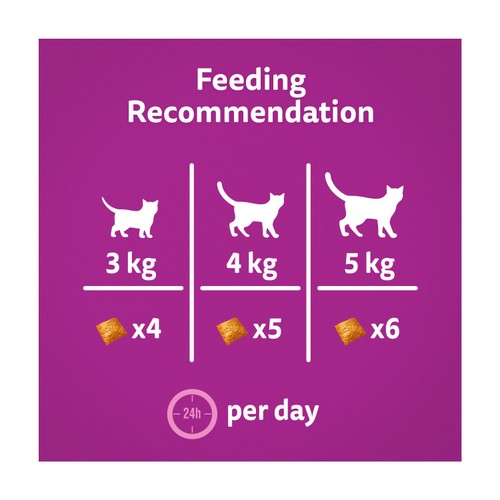 Whiskas Groom & Care Cat Treat Biscuits