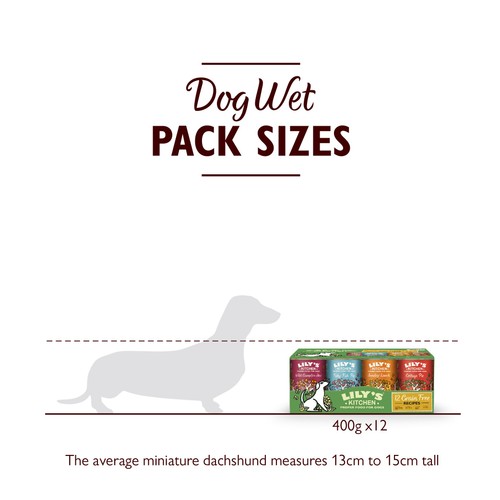 Lily's Kitchen Grain Free Recipes for Dogs Multipack
