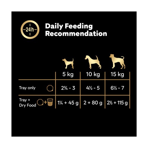 Cesar Juicy Hotpot Adult Wet Dog Food Trays Mixed in Gravy 