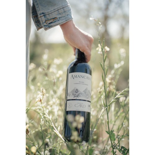 Lafite Rothschild Amancaya Oak aged Malbec & Cabernet Sauvignon
