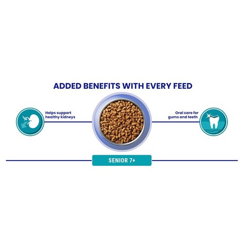 Purina One Senior 7+ Chicken Dry Cat Food 