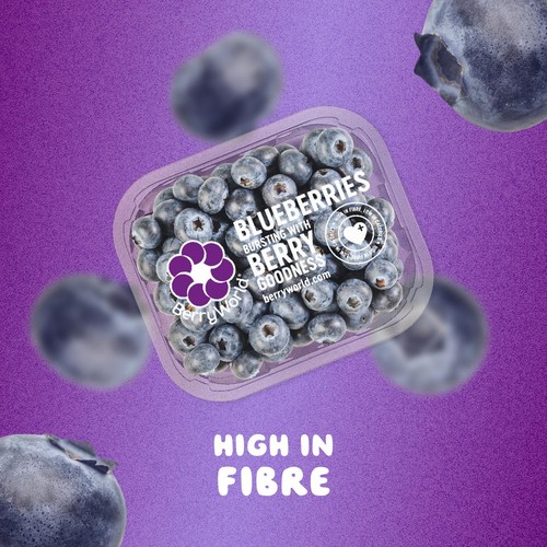 BerryWorld Blueberries