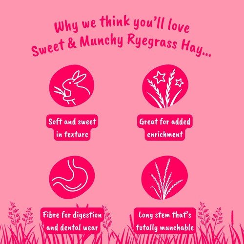 HayDay Sweet & Munchy Ryegrass Hay