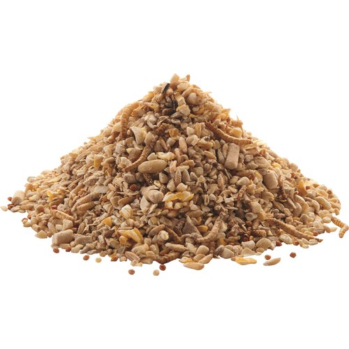 Peckish Robin Bird Seed and Insect Mix