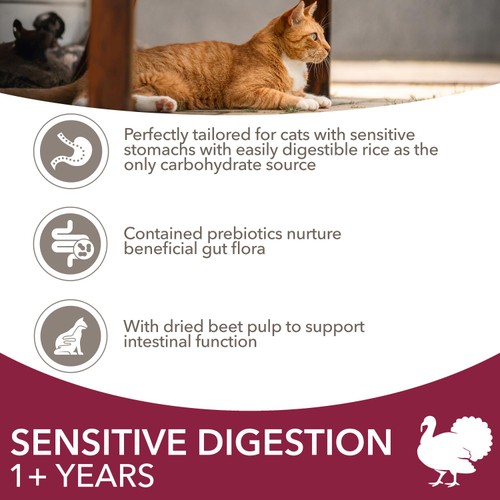 IAMS 1+ Years Sensitive Digestion Dry Cat Food Turkey