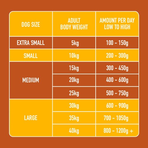 Nutriment Turkey Formula Raw Dog Food