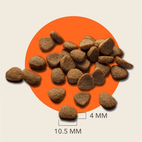 IAMS Senior Dry Cat Food Tuna