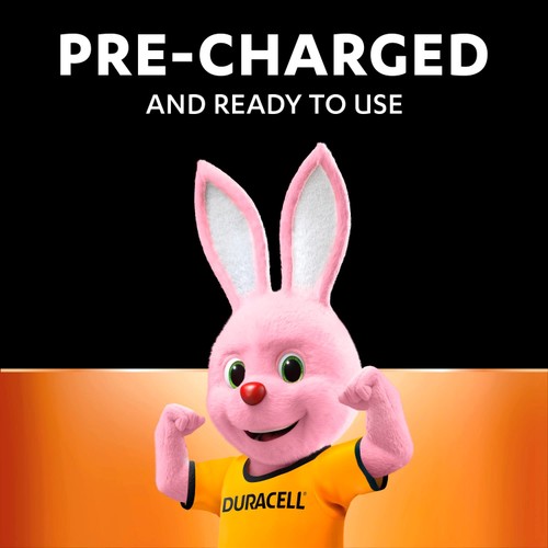 Duracell Recharge Plus AA Rechargeable Batteries