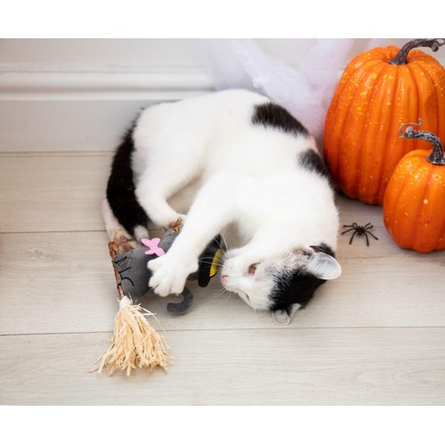 Spirit & Spook Witchy Kitty Cat Toy