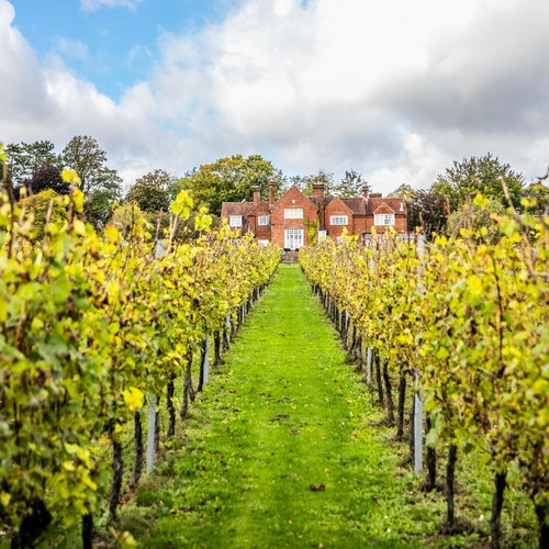 Hambledon Classic Cuvee Brut NV