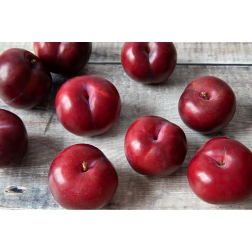 Diamond Crop Ripe and Ready to Eat Plums