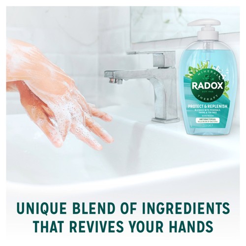 Radox Anti Bac Replenishing Liquid Hand Wash 