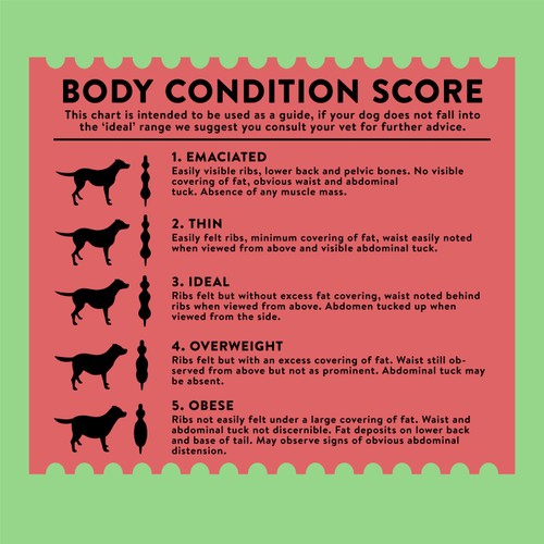 Wagg Active Goodness Beef & Veg Dry Dog Food