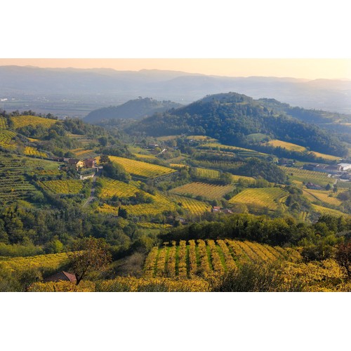 Faldeo Prosecco Rose
