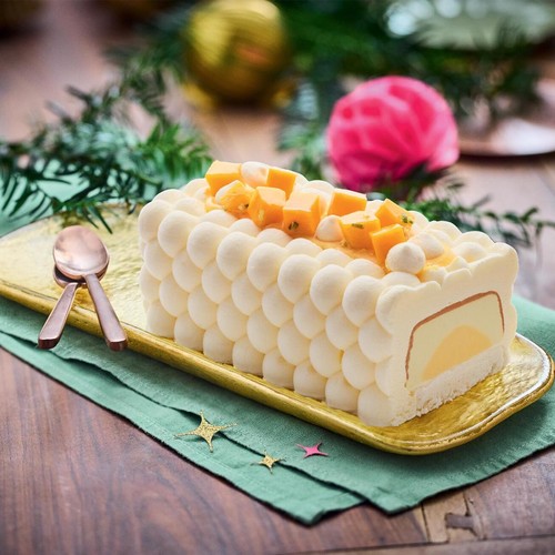 Picard Exotic Pavlova Style Ice Cream Log 480g