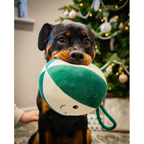 Cupid & Comet Blitzen Bauble Dog Toy