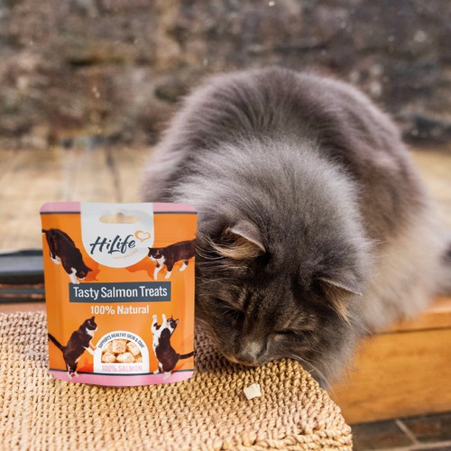 HiLife Salmon Freeze Dried Treats